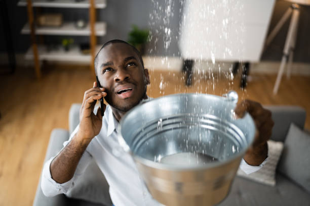 Best Mold removal after water damage  in Bloomingdale, TN