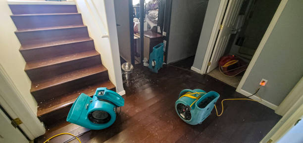 Best Flood damage cleanup  in Bloomingdale, TN