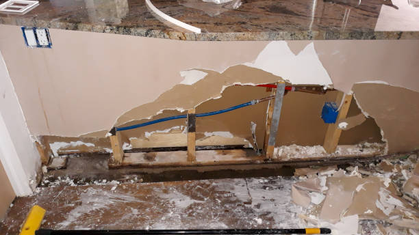 Best Carpet water damage restoration  in Bloomingdale, TN
