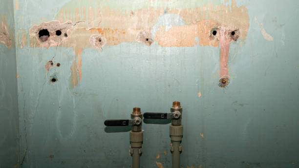Best Water damage restoration mold remediation  in Bloomingdale, TN