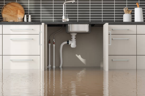 Best Sewage cleanup and water damage restoration  in Bloomingdale, TN